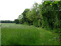 Footpath off Green Common Lane