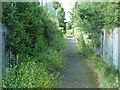 Path from Wood Lane to Fambridge Road or Crow Lane