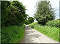 Green Common Lane