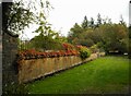 NS5477 : Walled garden by Richard Sutcliffe
