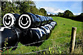 H4077 : Silage bales along Cashty Road by Kenneth  Allen
