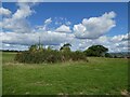 Covered reservoir at Pennard Hill Farm