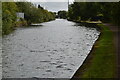 SJ7896 : Bridgewater Canal by N Chadwick