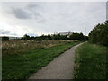 Footpath near Fernwood