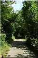 Bridleway to Back Tor Farm