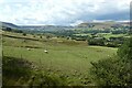 Fields above Black Tor Farm