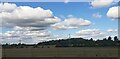 Fields off the Bedford Bypass