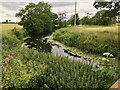 The River Yeo