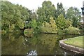 Side pond above Stourbridge Canal Lock No. 5