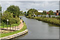 SJ7995 : Bridgewater Canal by N Chadwick