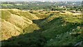 Clough Quarry remains