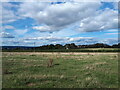 View from the stile in Field Lane