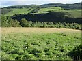 Grassy hillside near Condie