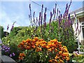 Garden flowers at Allison Street