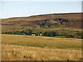 Moorland above Moor Rigg