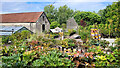 Plant Centre at Kelways Nurseries