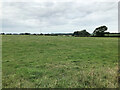 Field off Broomhall Lane