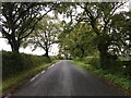 Minor road near Whins