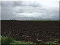 Ploughed field near Cushathill Farm