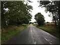 Road near Inglewoodbank Cottages