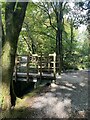 Wooden footbridge over the River Clyne