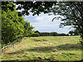 Rough grazing land between woodland and housing estate