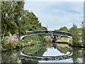 Footbridge over Old Main Line at Bromford Junction