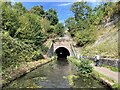 Coseley Tunnel south portal