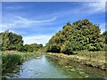 Birmingham Canal