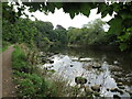 Public Footpath and the River Coquet