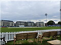 Looking across the "Seat Unique Stadium" - the County Ground, Bristol