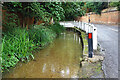 Stream beside Village Road