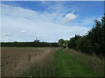 TF8116 : Castle Acre to Harpley (35) by Basher Eyre