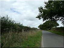 TF8018 : Castle Acre to Harpley (61) by Basher Eyre
