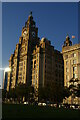 SJ3390 : Liverpool Pier Head: the Royal Liver Building by Christopher Hilton