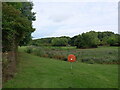 Newdale pond from the south