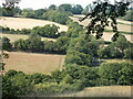 Chiltern Way near to End Farm