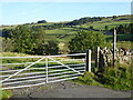 The Pennine Way near Garrigill