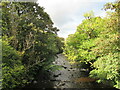 Upstream view, Allan Water