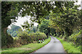 Road towards Ellenhall Park Farm