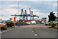 NS2777 : Dockyard Cranes at Clydeport Container Terminal by David Dixon