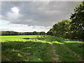 Track to Turf Moor Farm