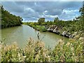 Pond in Straight Mile Fisheries