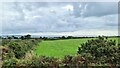 Field at Sheffield, Cornwall