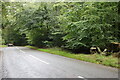 Pink Road, Redland End