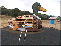 TL2171 : Children's play area at Hinchingbrooke Country Park by Peter S