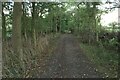 Chain Walk near Cutting Hill