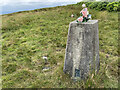 SD6813 : Whimberry Hill Trig Point Flush Bracket S4488 by thejackrustles