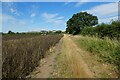 Farmland, Garsington