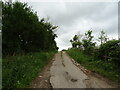 Track (footpath) to Gotham Farm